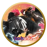 nohu52